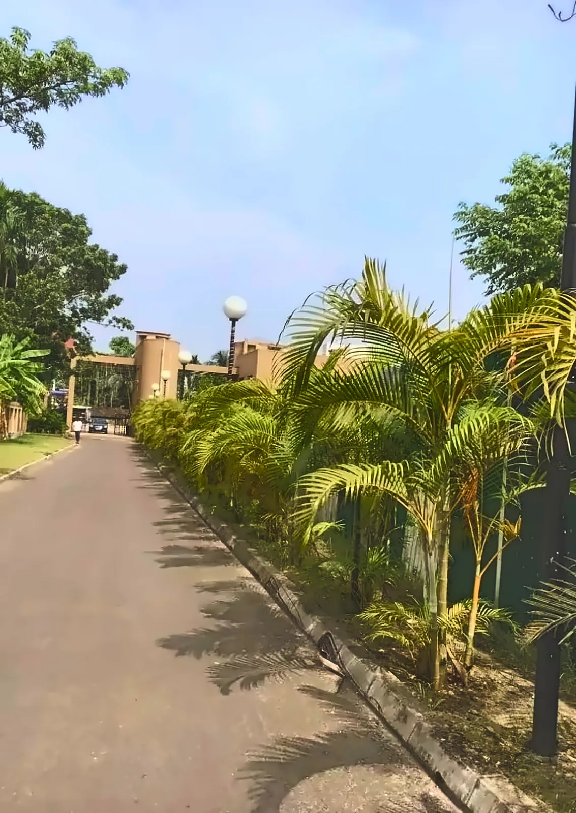 The drive in — Palm-lined avenues lead you home.